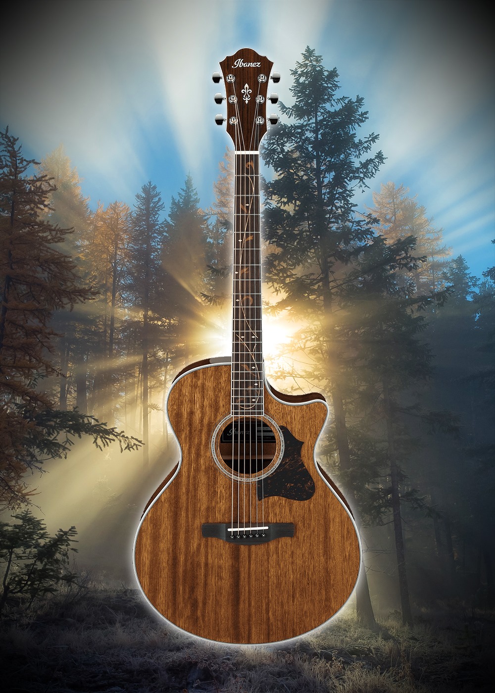 The Ibanez Ae245 Nt Acoustic Electric Philippines