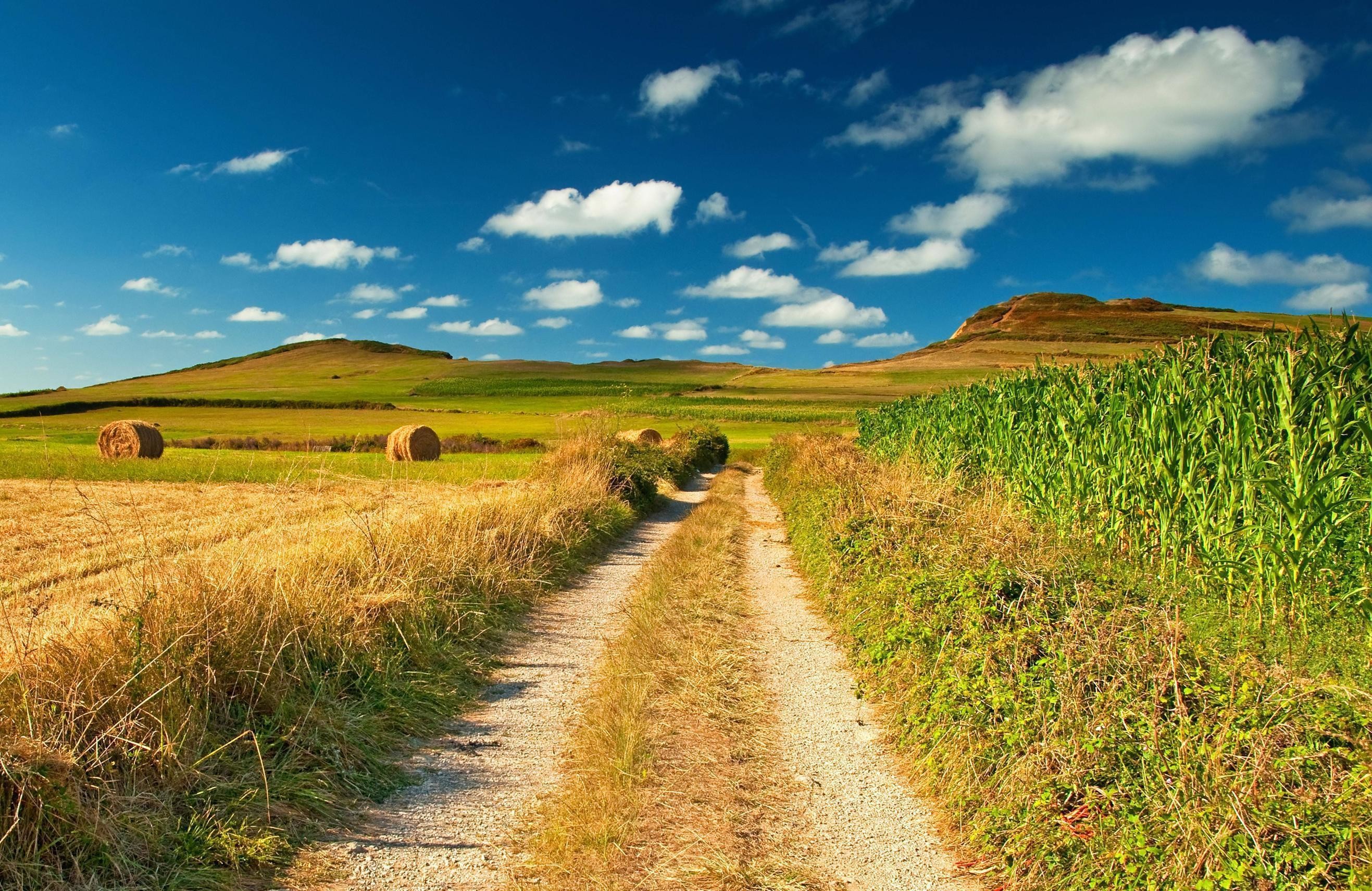 Country Roads Wallpaper
