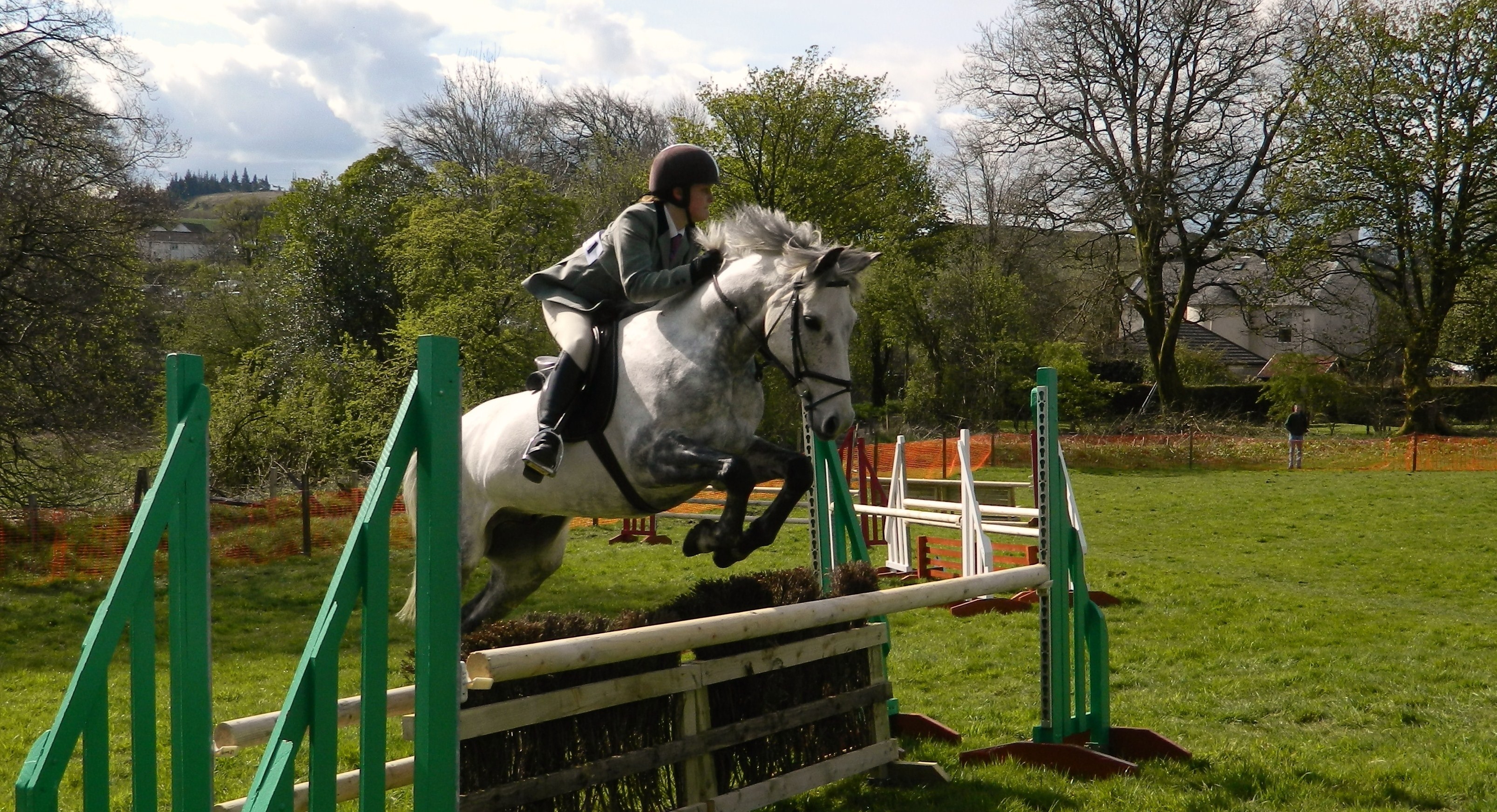 Equestrian Wallpaper