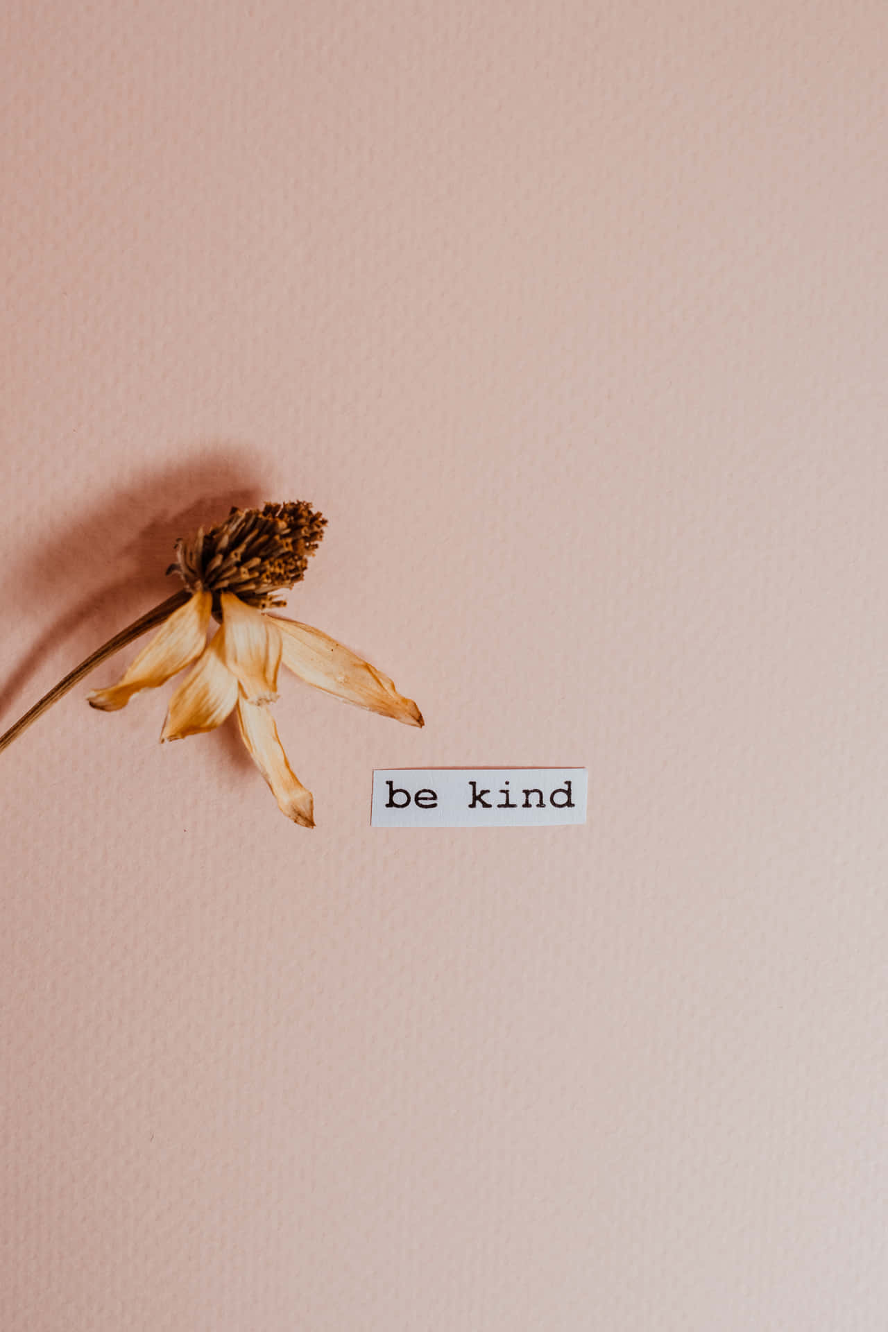 Be Kind Wallpaper