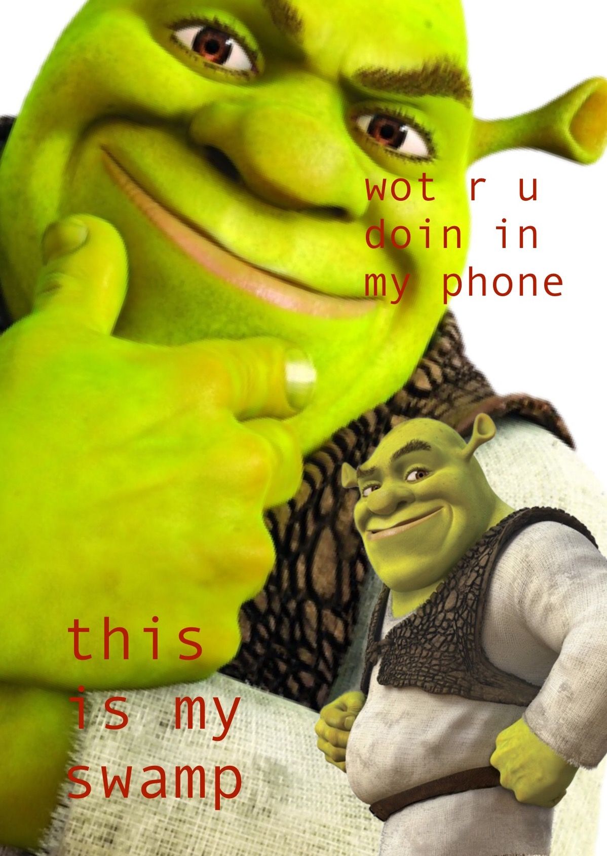 Homemade Shrek Lockscreen To Keep Ppl Out Of Ur Swamp