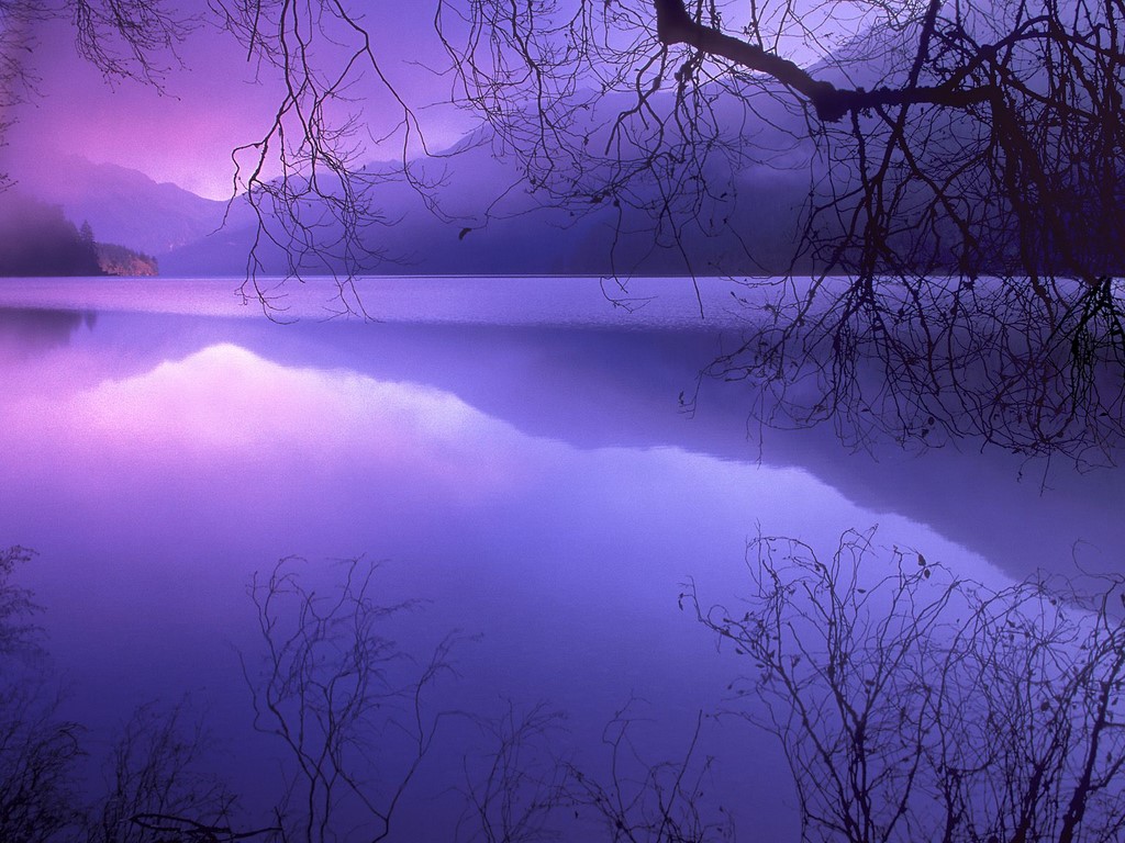 Nature Purple Haze Over Lake Crescent Olympic National