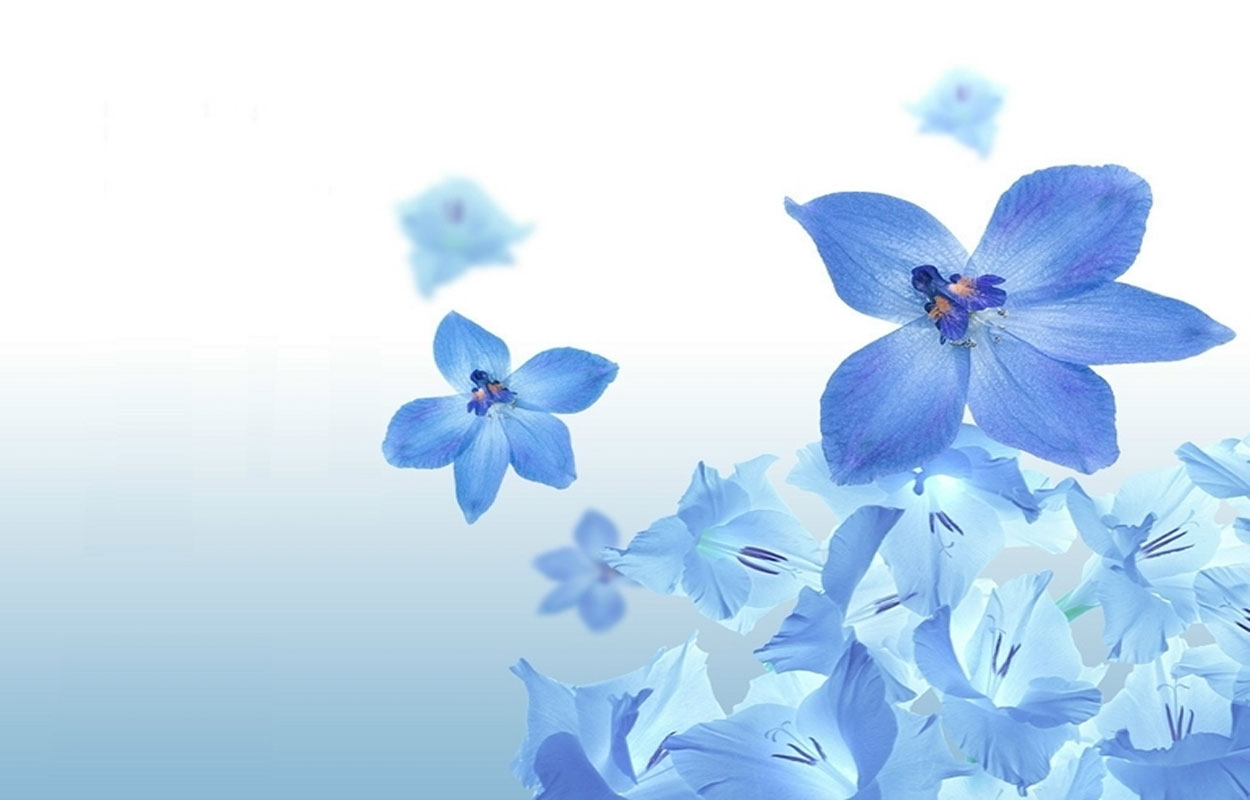 Blue Flower Wallpaper   Architecture Ideas