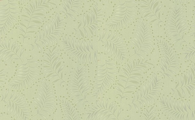 Fern Wallpaper By Wallpaperdirect