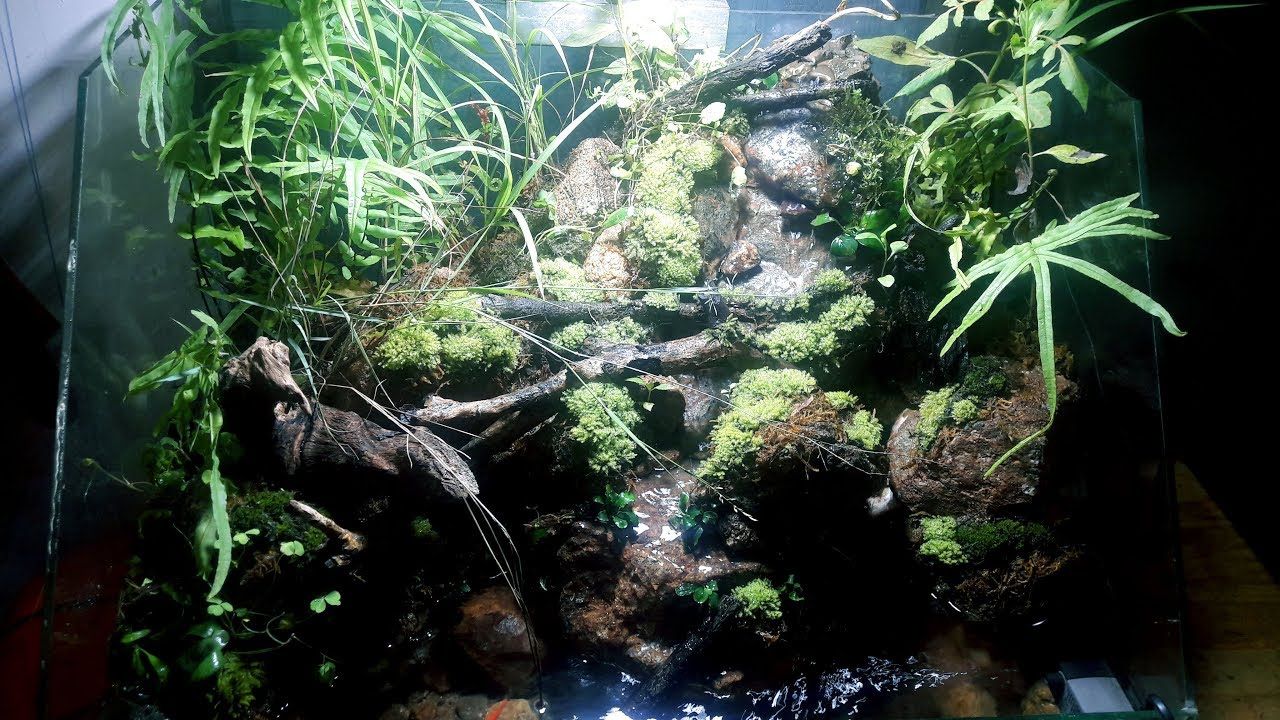 Making Aquaterrarium Waterfall With Foarm Image Aquarium