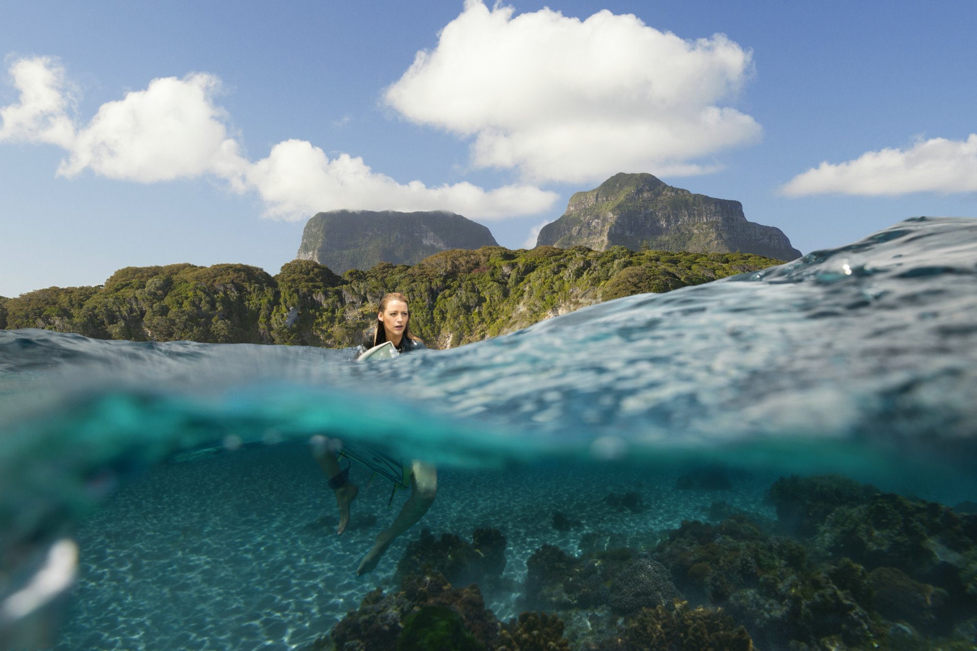 Blake Lively Nancy Movie The Shallows HD Wallpaper