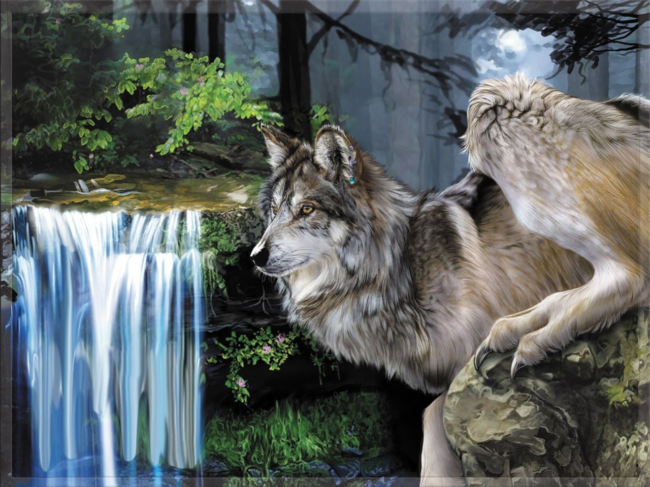 Wolf Puter Wallpaper Desktop Background