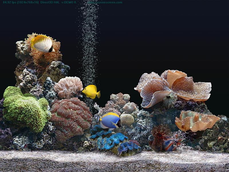 safe live with sound marine aquarium screensavers