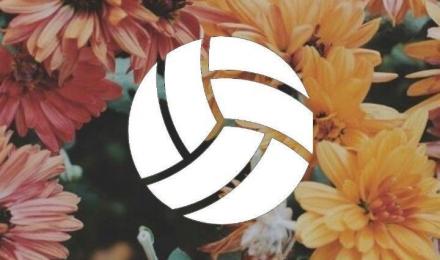 Sports Aesthetic Wallpaper