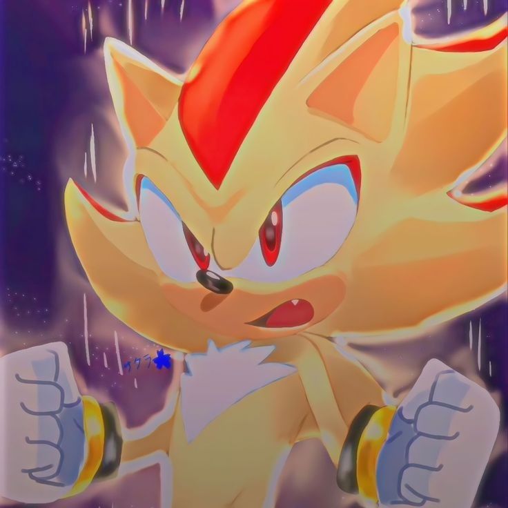 Shadow Pfp Wallpaper
