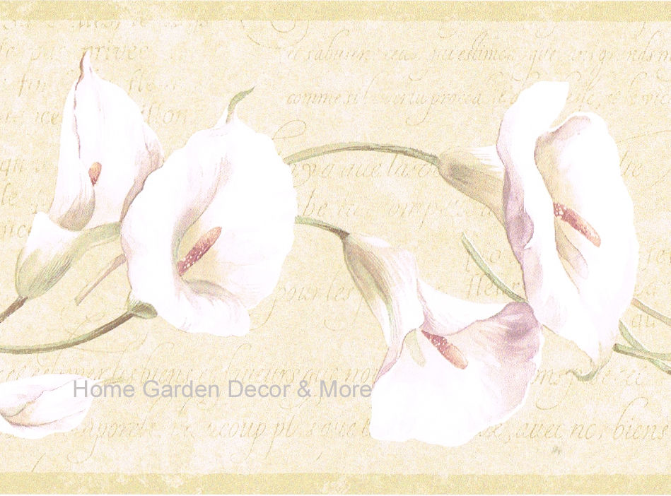 Calla Lily Border - photos and vectors