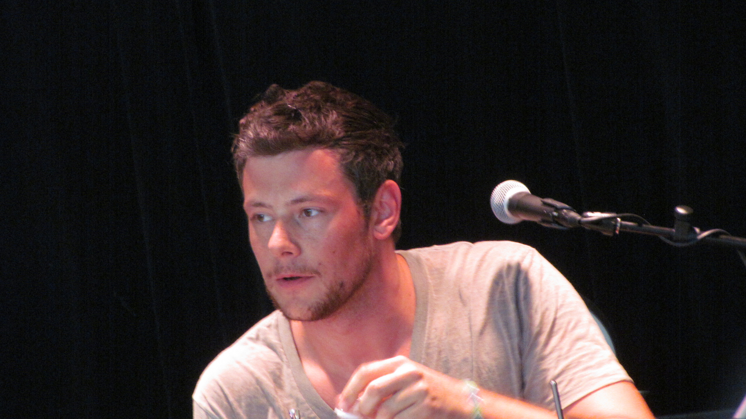 Cory Monteith Image At Hershey Park HD Wallpaper