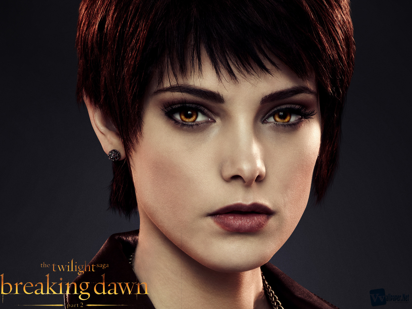 The Twilight Saga Breaking Dawn Part Alice Cullen HD Wallpaper