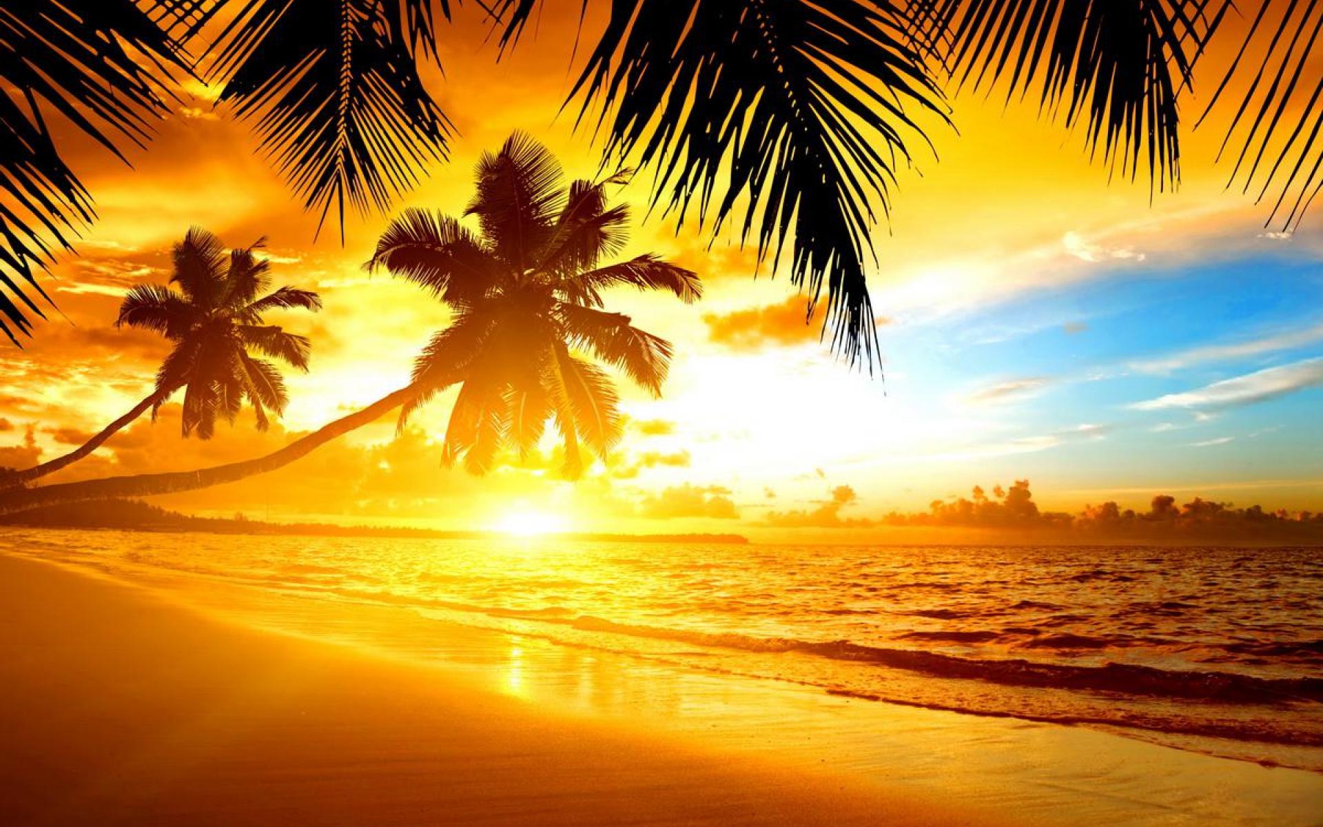 Tropical Island Sunset HD Wallpaper Background Image