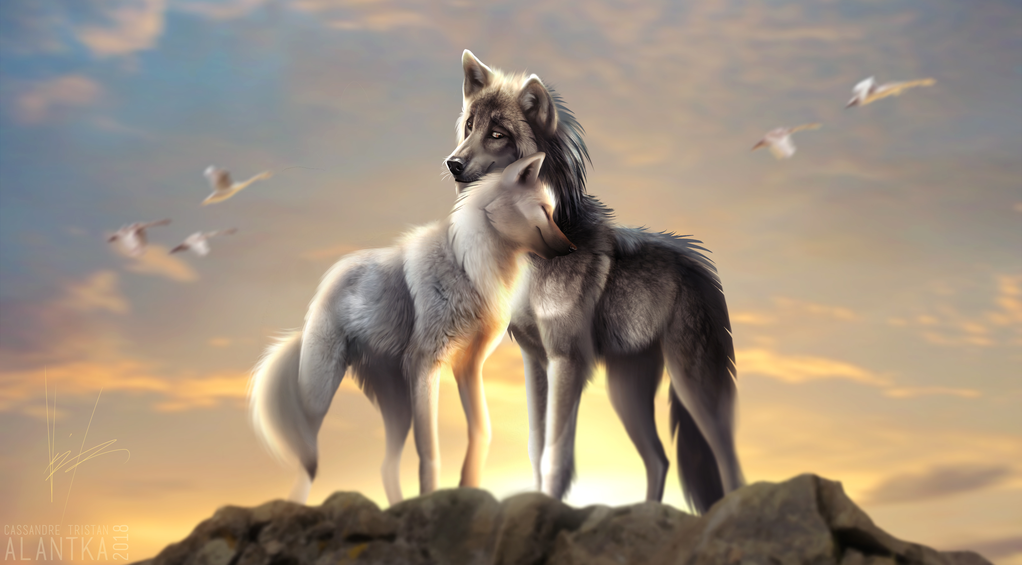Two wolves stand together on a rocky outcrop at sunset, silhouetted against the golden sky. Birds fly overhead, adding to the serene atmosphere