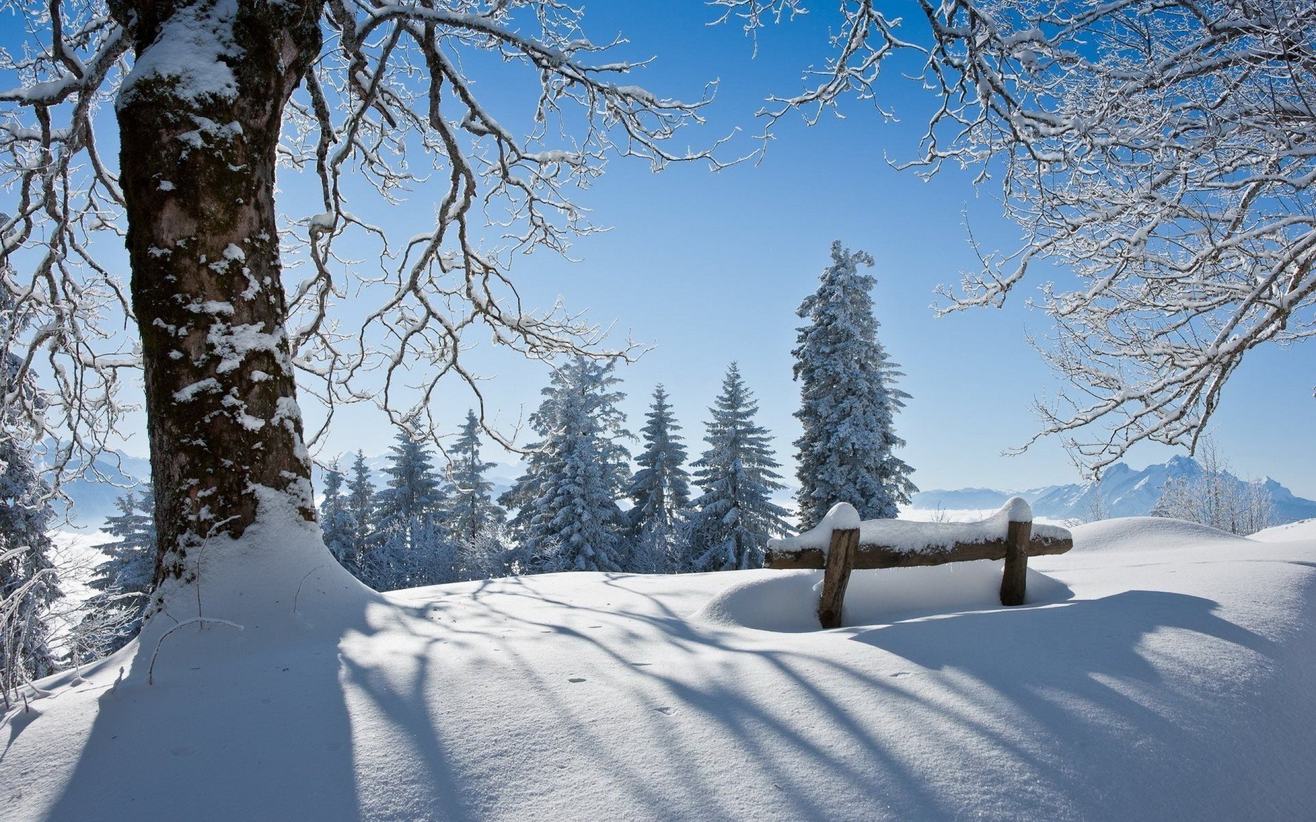 Nature Snowwinter Wallpapers Bench HD Nature Backgrounds