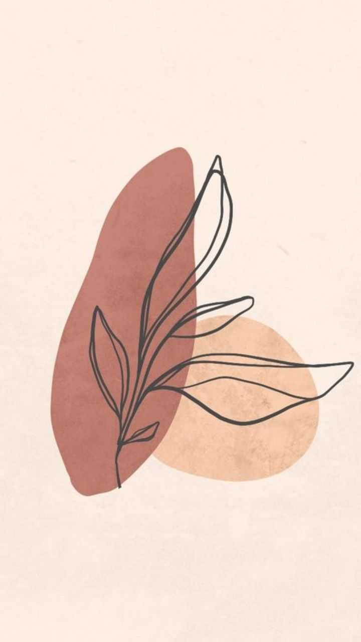Aesthetic Boho Wallpaper