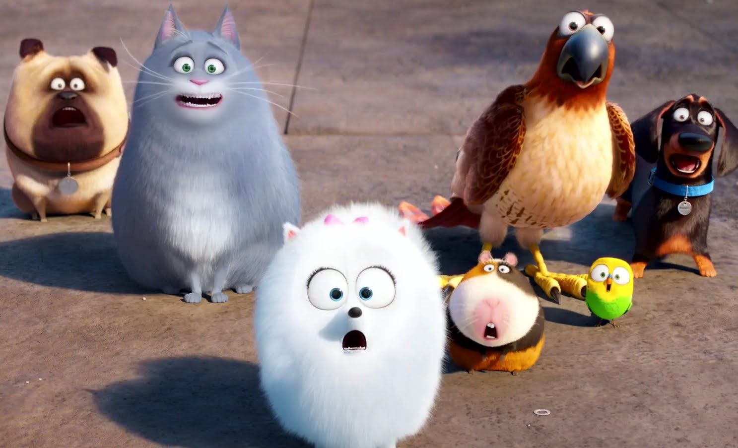 The Secret Life Of Pets Re Cat S Whiskers Or A Bit Dog