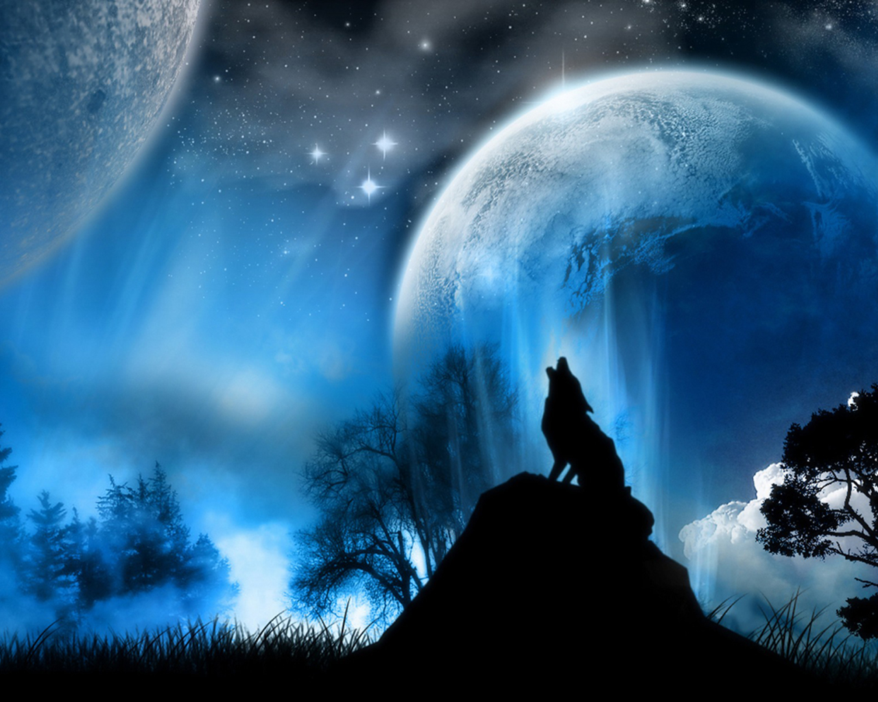 Wallpaper Or Picture Of 3d Wolf Laptop On This Cool