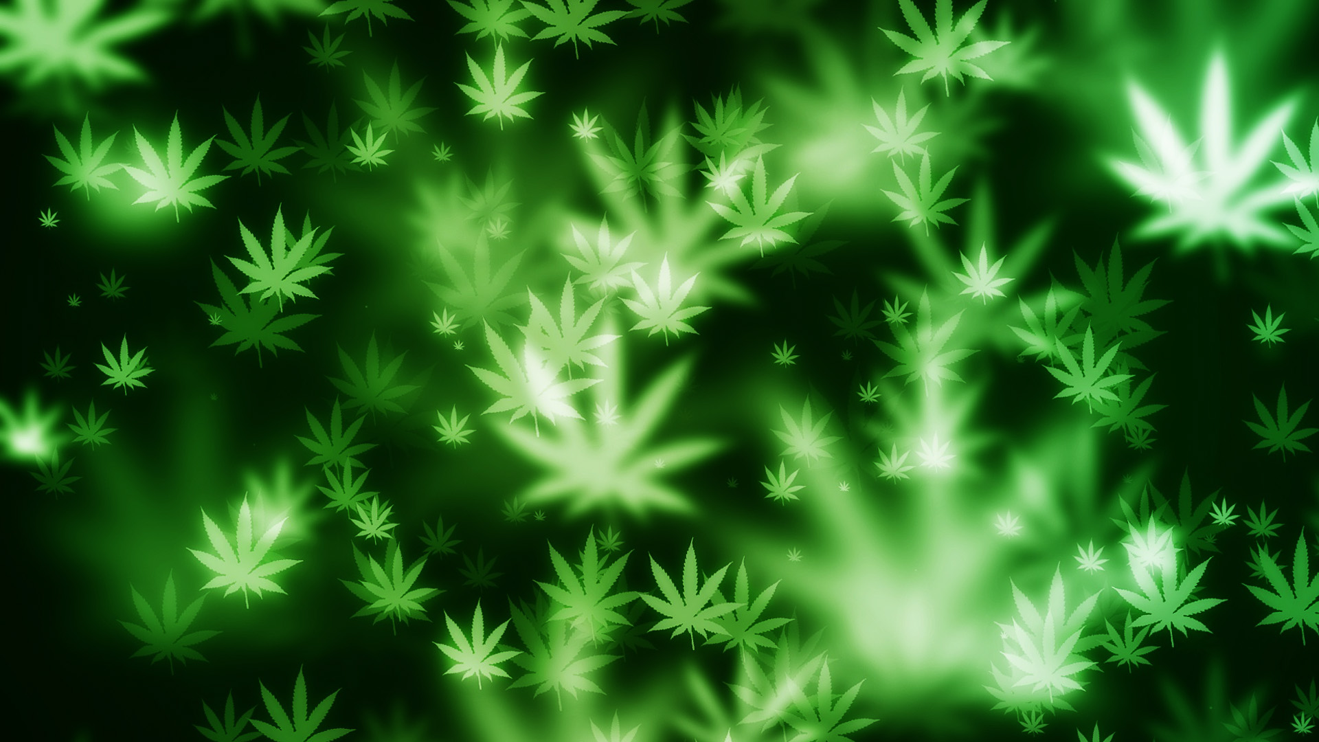 Weed Bokeh Wallpaper World Collection