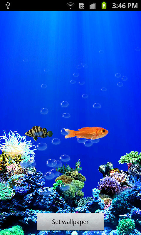 Free Android Live Wallpaper download   Download the Free Free Aquarium