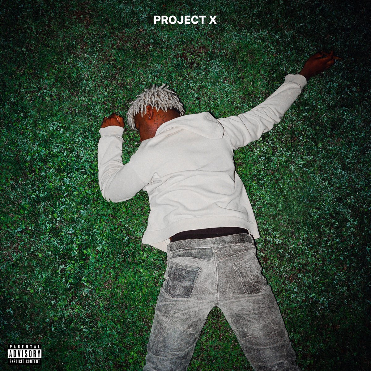 Ken Carson lying on grass, album cover for Project X
