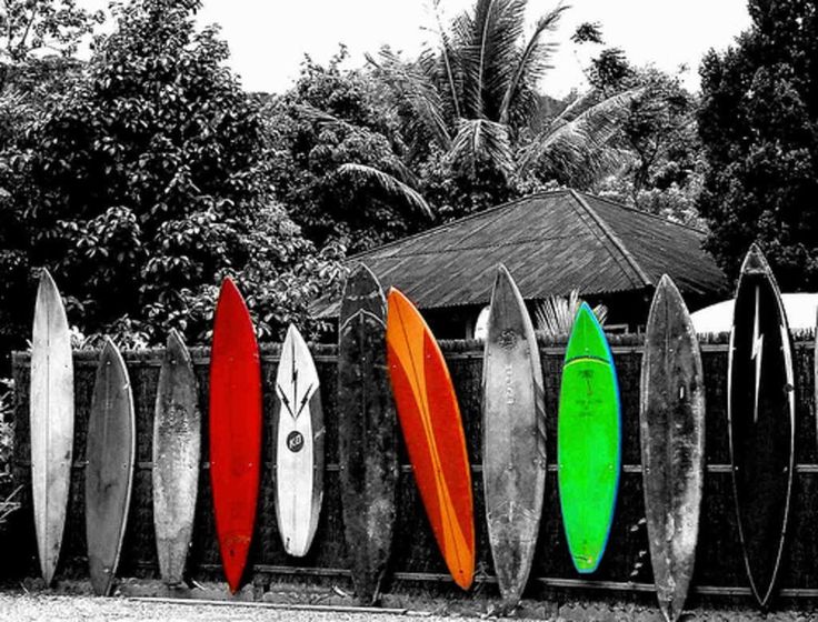 Surfing Wallpaper And Background Of Surf