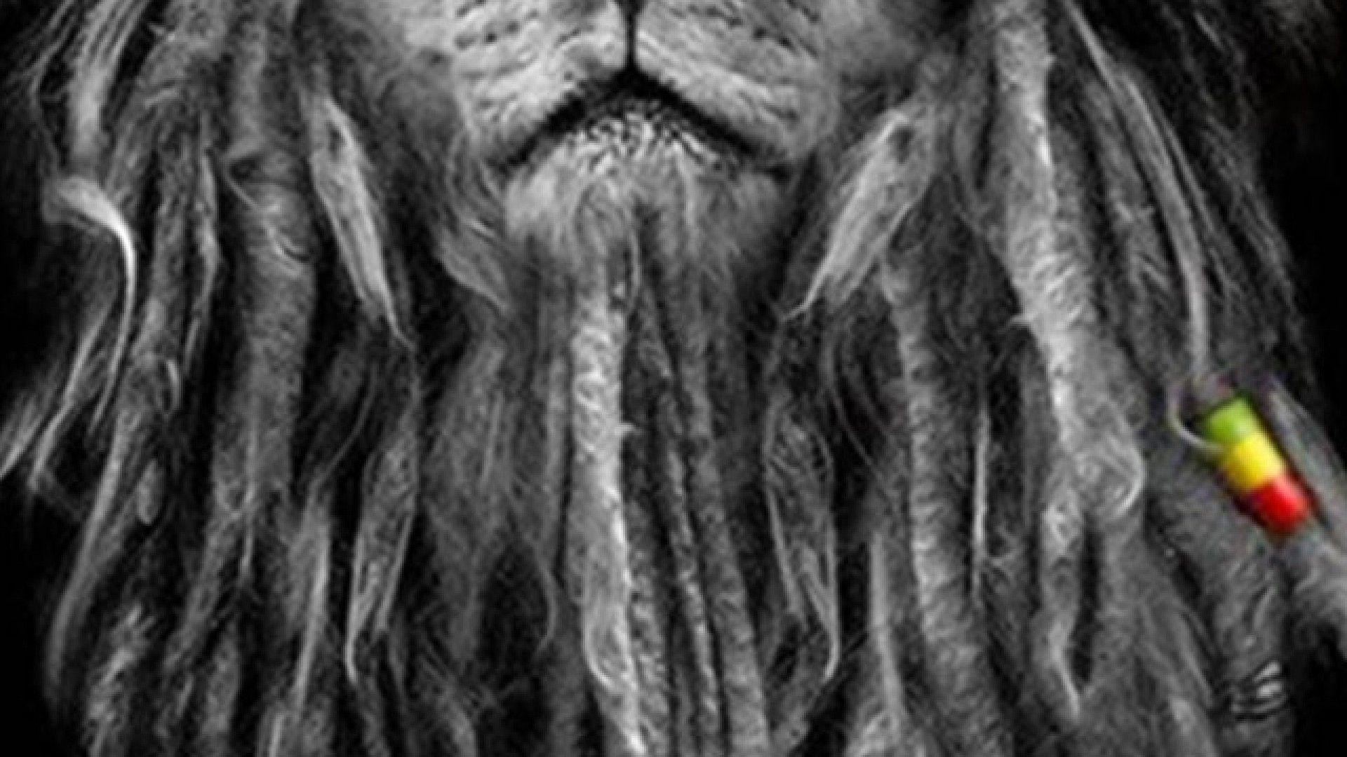 Rasta Lion Wallpapers