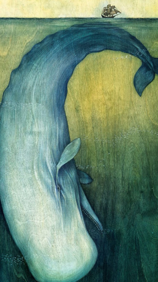Animal drawings | wallpaper colorful | wallpaper ideas | wallpapers for  iphone | wallpaper aesthetic | Shark art, Drawing wallpaper, Cute wallpaper  backgrounds