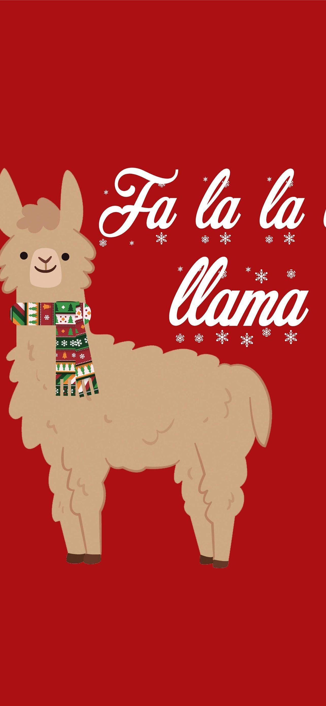 Llama iPhone Wallpaper