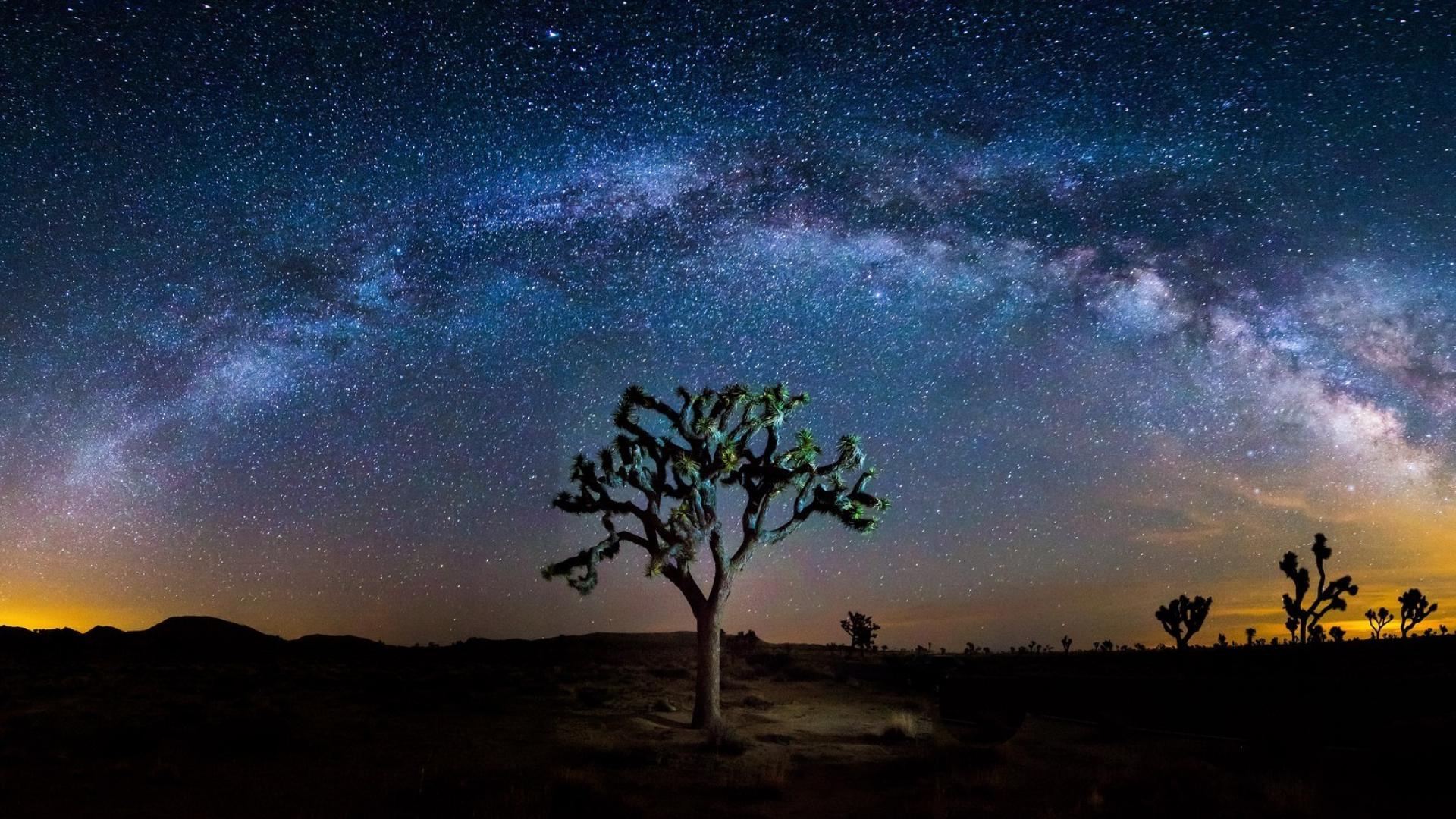 Joshua Tree National Park Milky Way Geographic Wallpaper