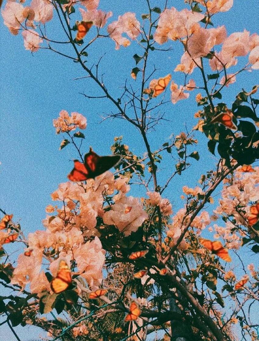 Aesthetic Spring Wallpaper