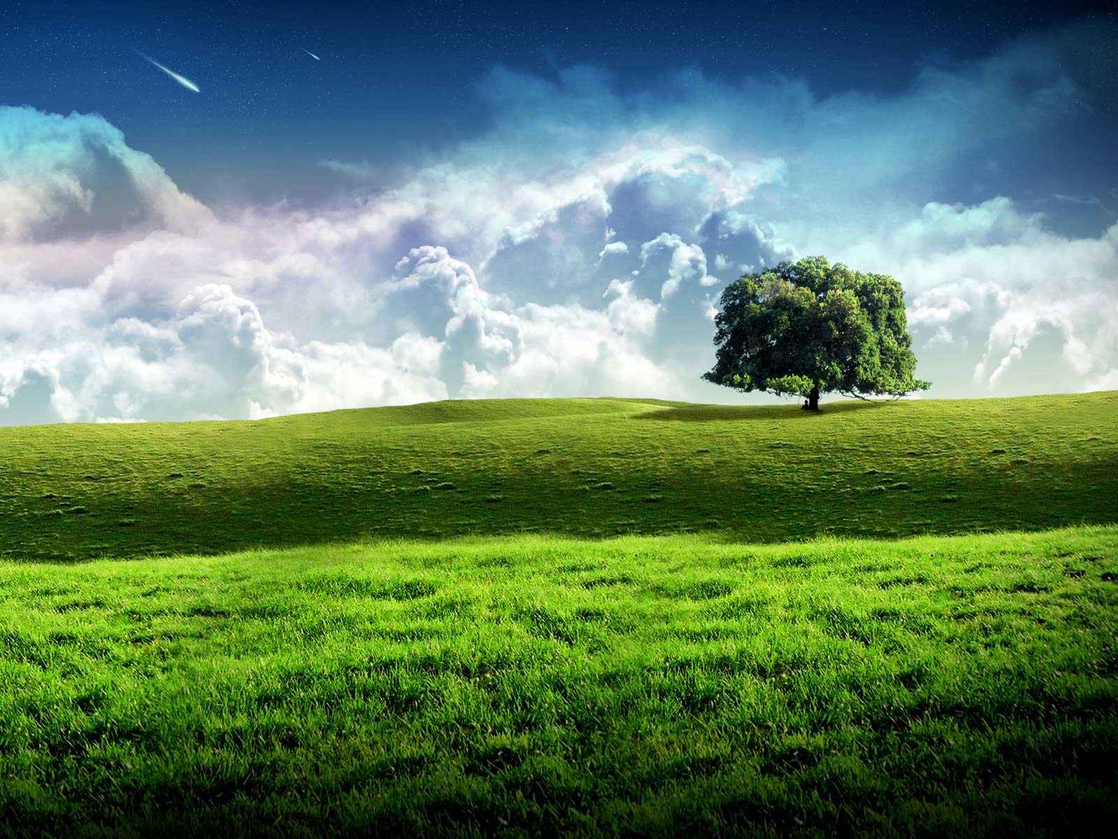 new bliss tree green landscape scenery wallpaper image vector clip