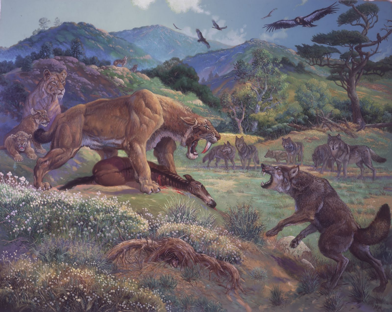 Saber Tooth Tiger Vs Dire Wolf Wallpaper