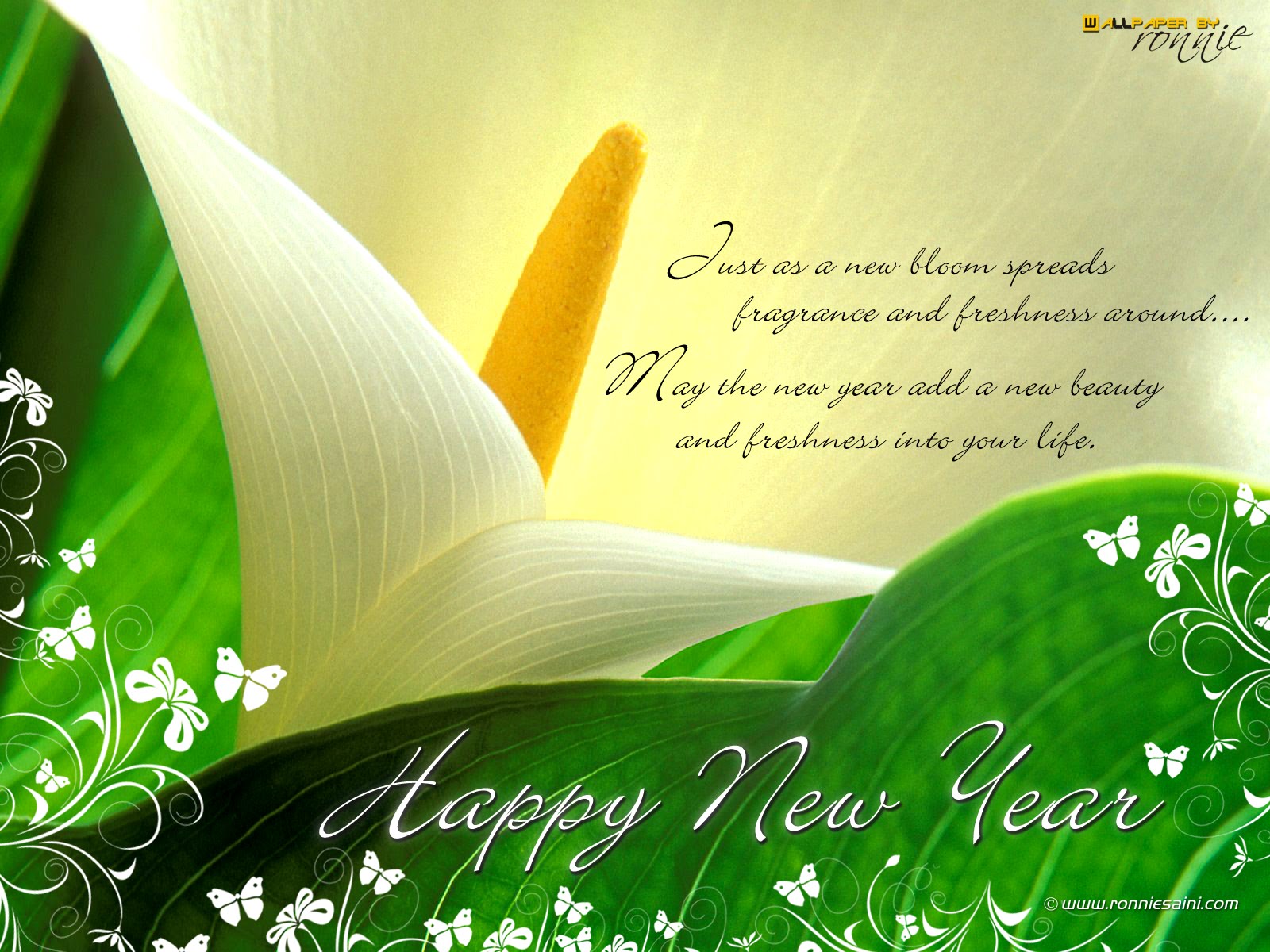 New Year Wishes Wallpaper And Sms
