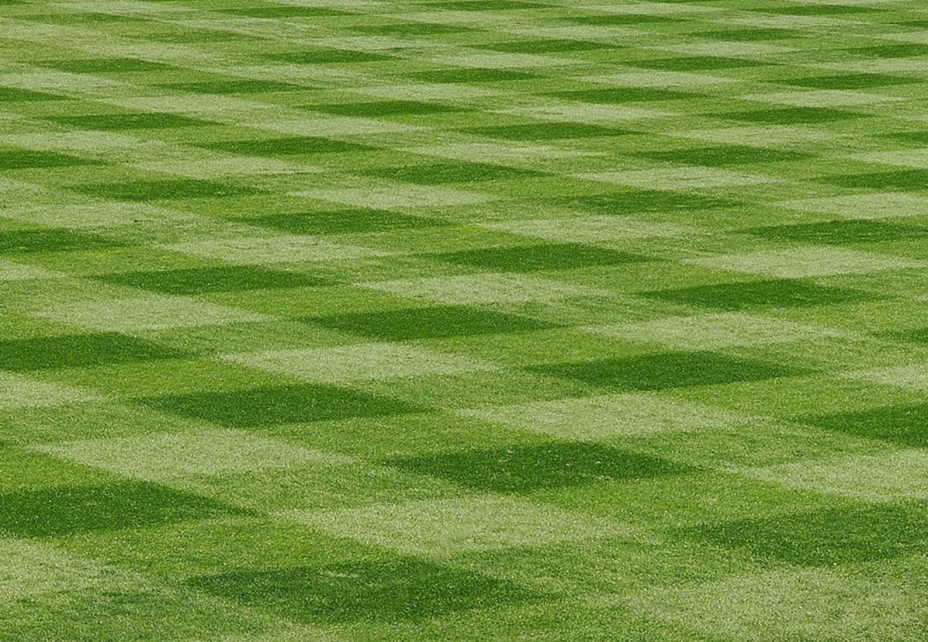 Baseball Field Background Image