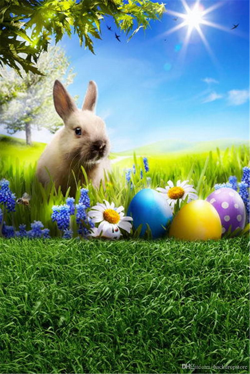 2019 Happy Easter Rabbit Photography Backdrop Printed Blue Sky