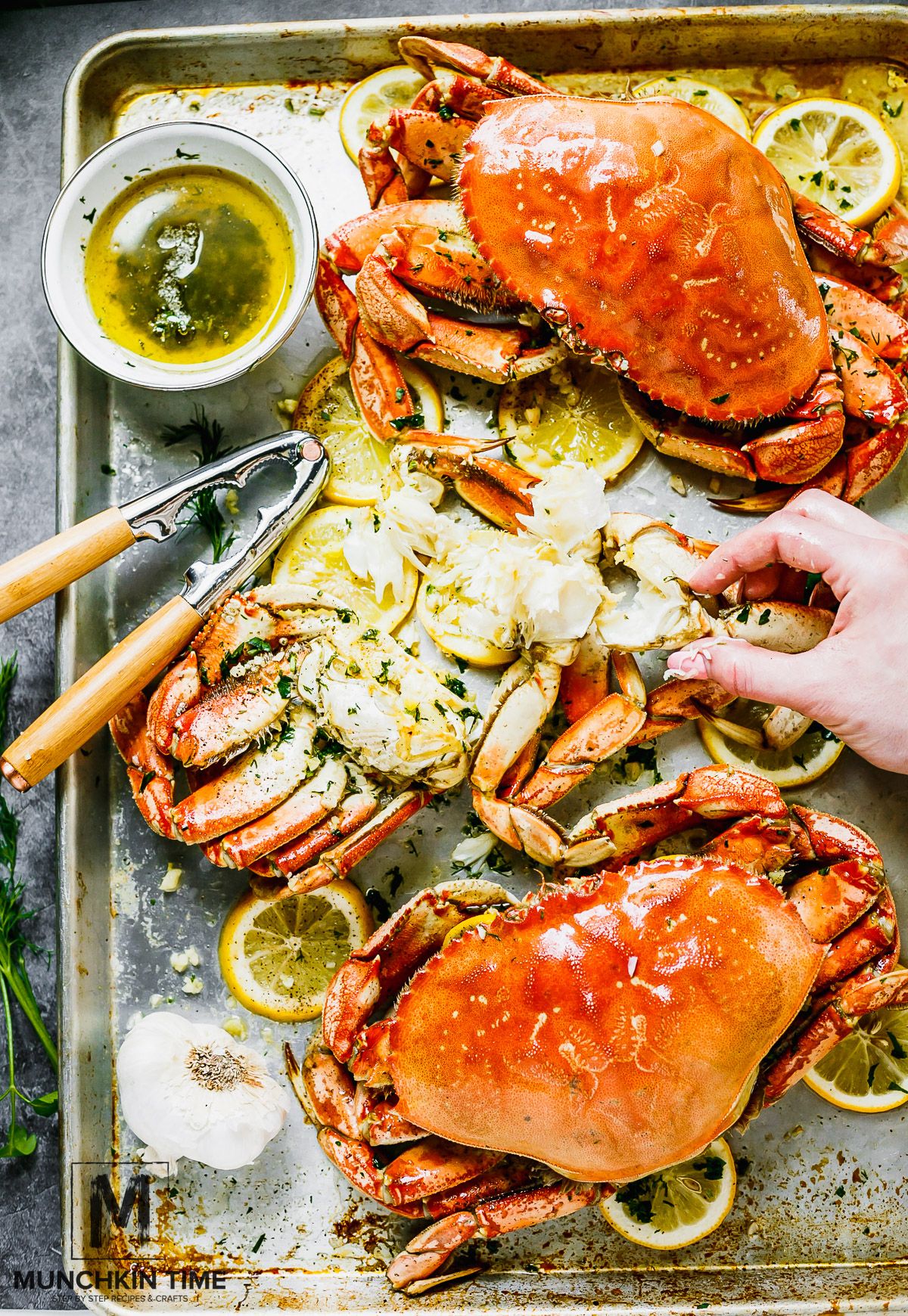 The Best Oven Wallpaper