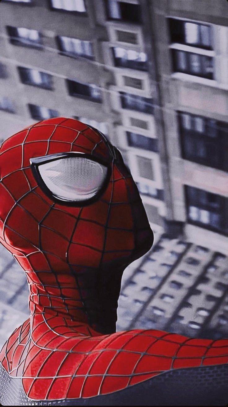 Andrew Garfield S Spiderman Amazing Movie