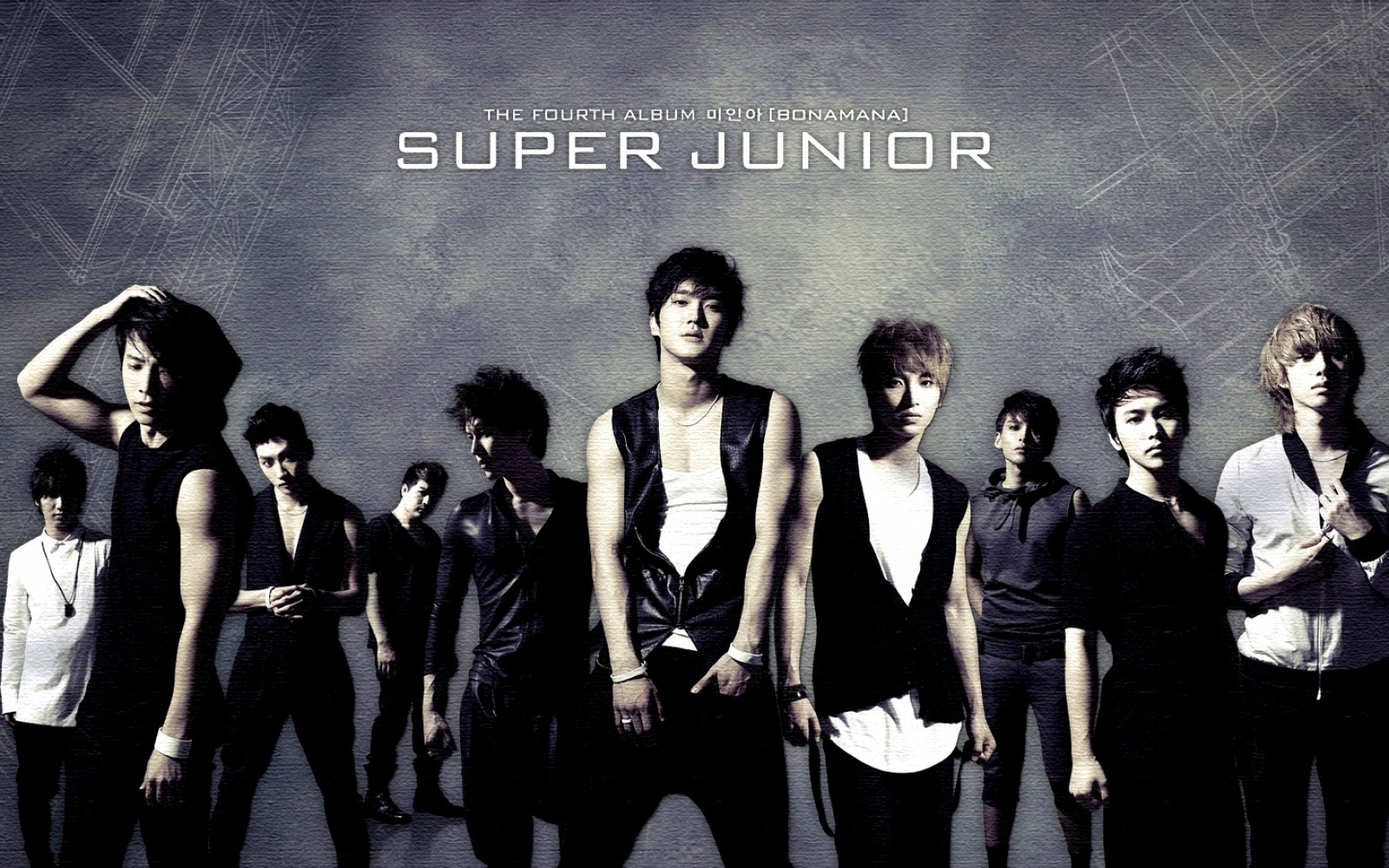 Background In High Quality Super Junior By Kay Morrison