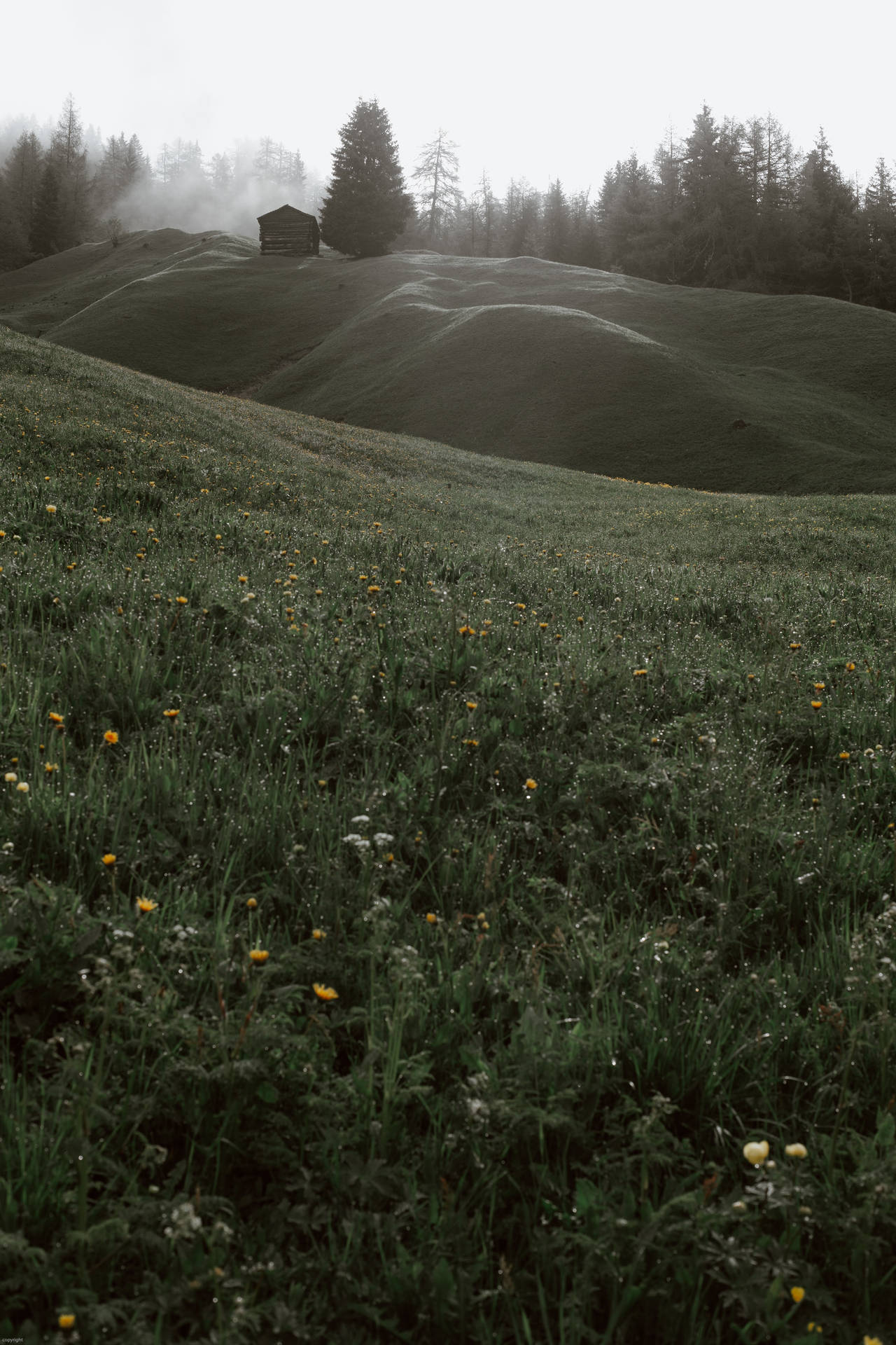 Hill Wallpaper