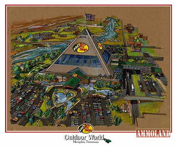 Albums 94+ Wallpaper Wallpaper Stores In Memphis Tn Superb