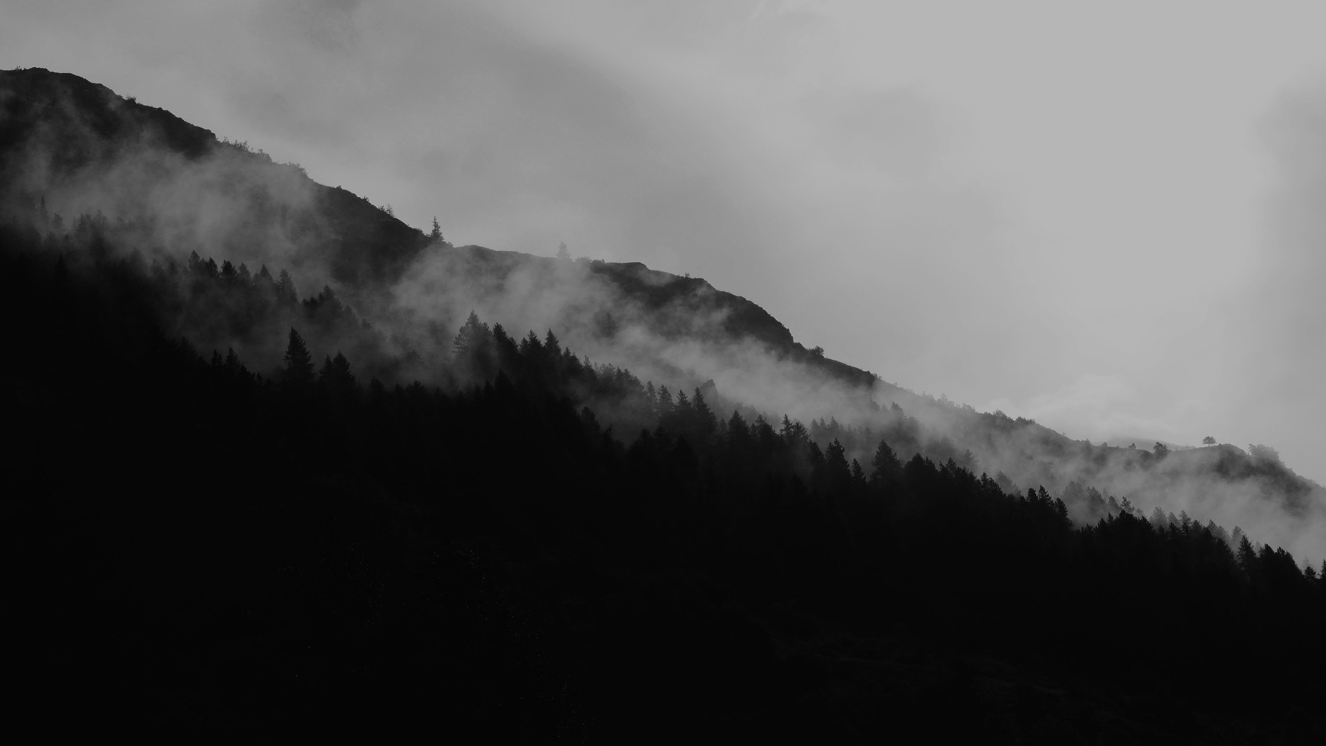 Aesthetic Black Wallpaper