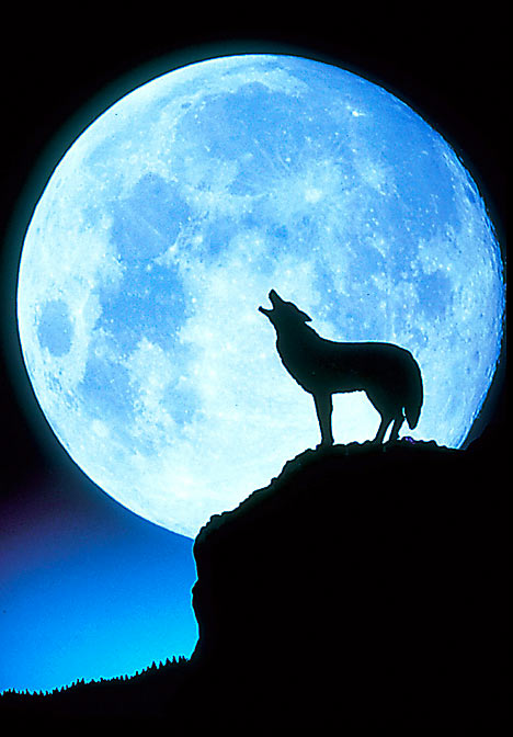 Nothing found for 2012 06 27 Wise Up Full Moon In Capricorn July 3Rd