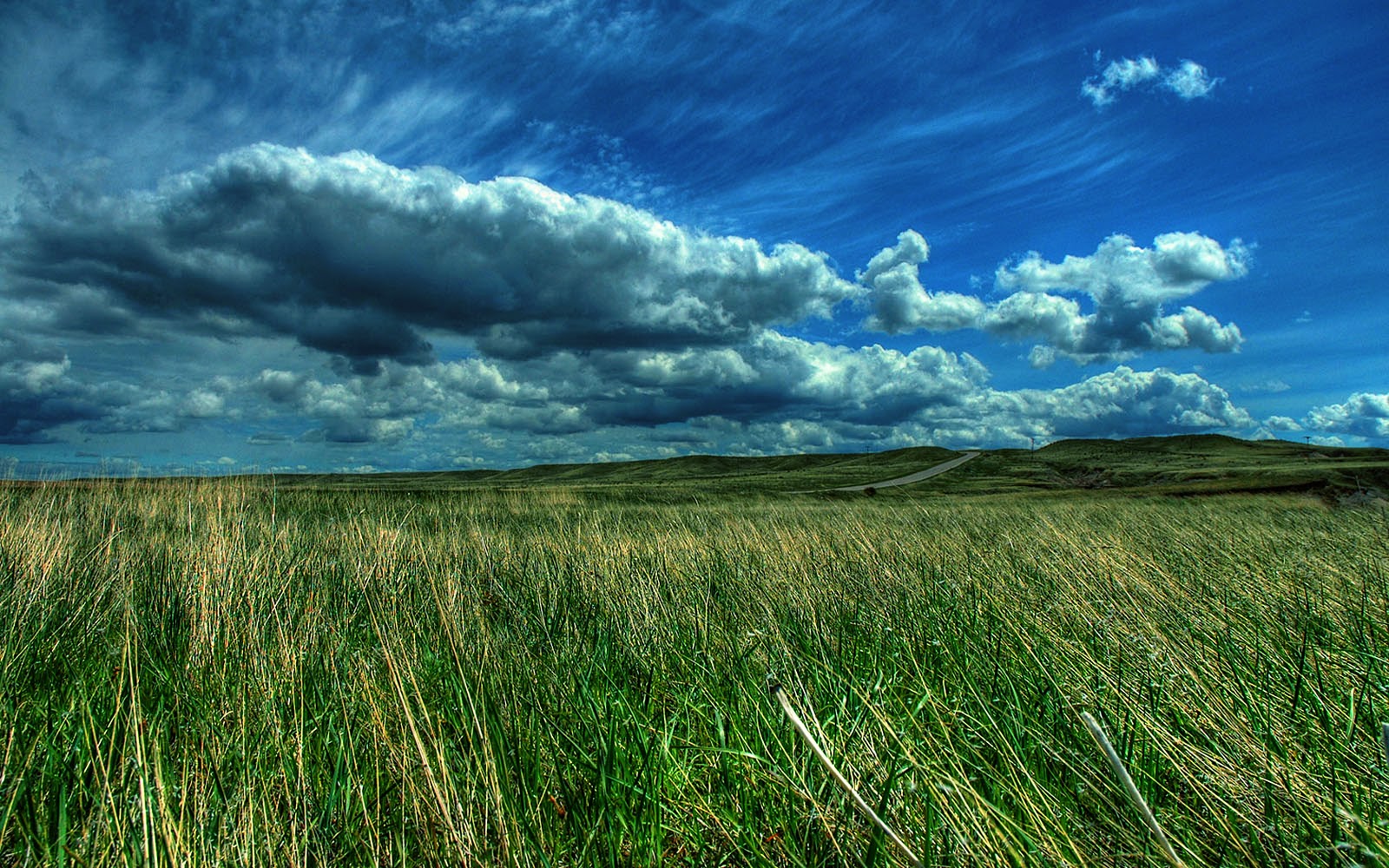 Vast green field under a cloudy blue sky with a winding road in the distance
