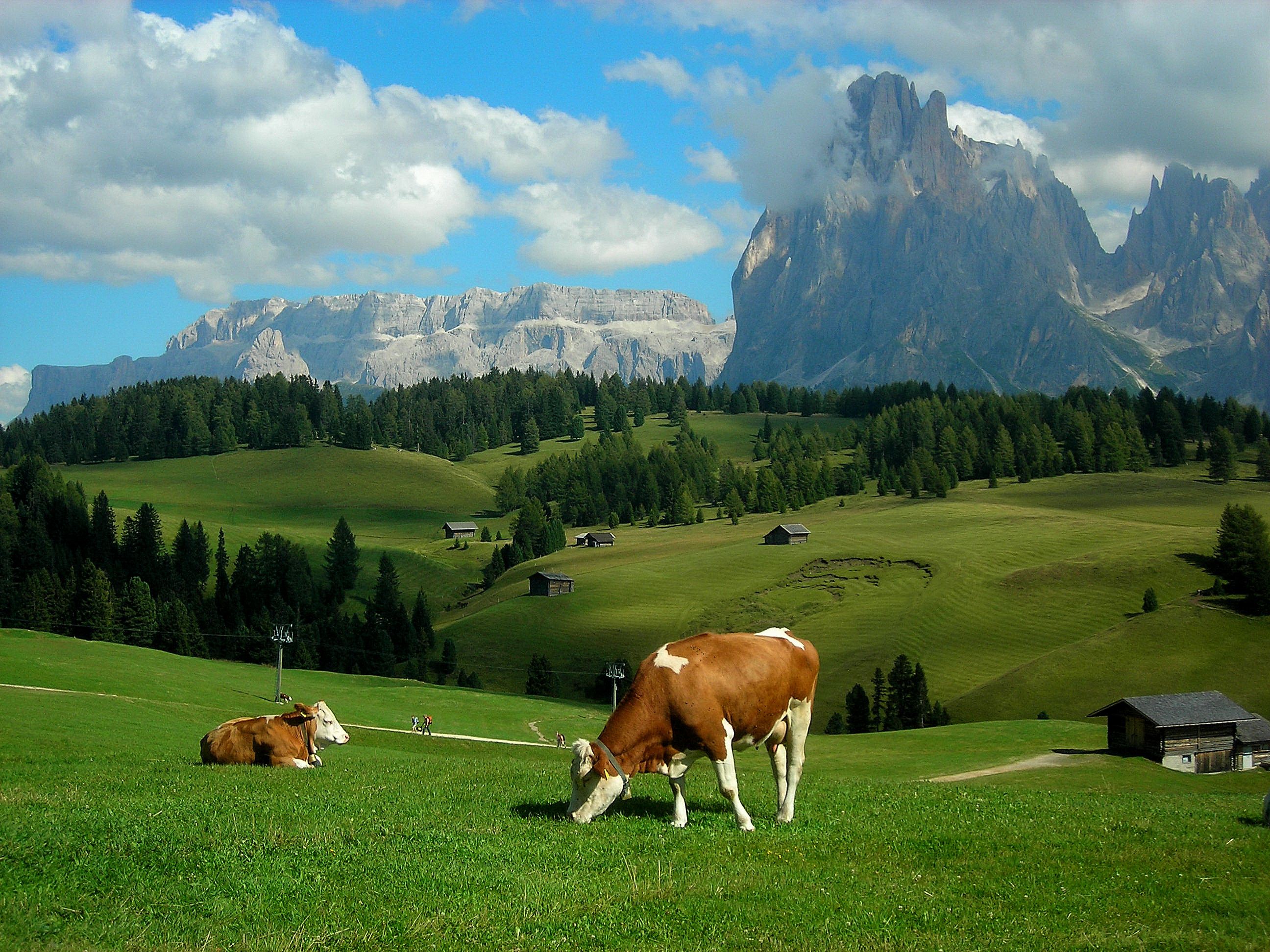 Alps meadows hills mountains cows landscape rustic farm