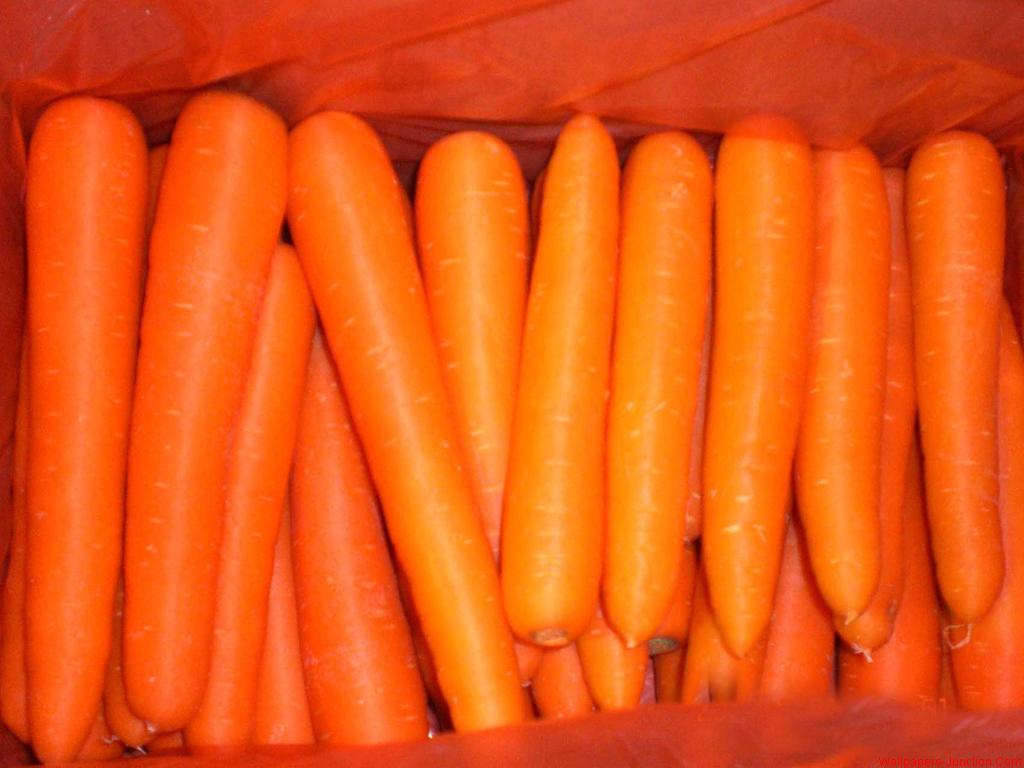 Carrot Wallpaper