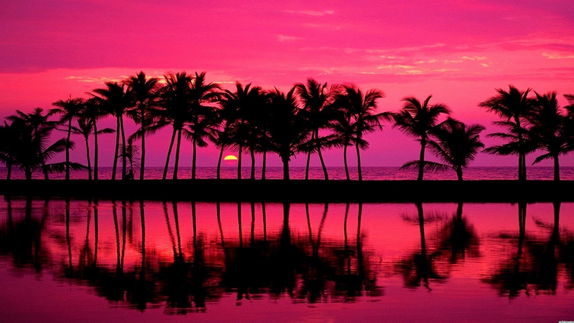 Pink Beach Sunset Wallpaper