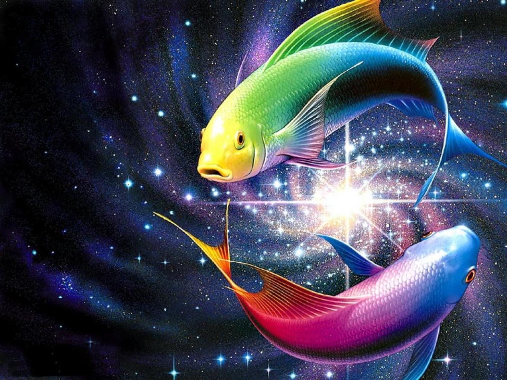 Rainbow Fish Wallpaper HD Walldiskpaper