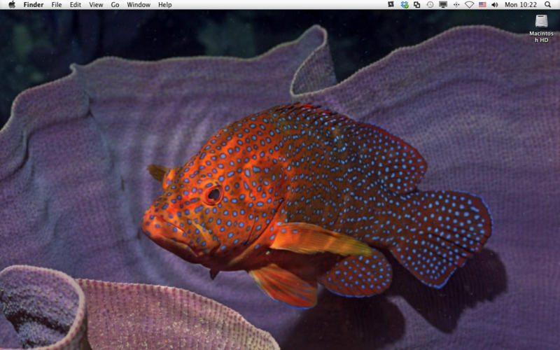 Mac App Store Liquid Desktop Live Wallpaper